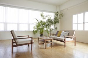 観葉植物とソファーのあるリビングルーム