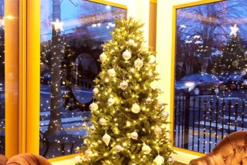 住宅のリビングに大きなクリスマスツリーを置く間取りプランの例