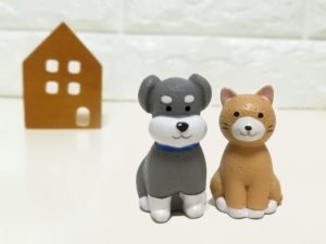 犬と猫と家の模型