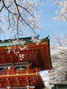 神田明神の狛犬と本堂