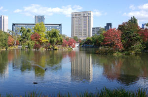 中島公園からの景観