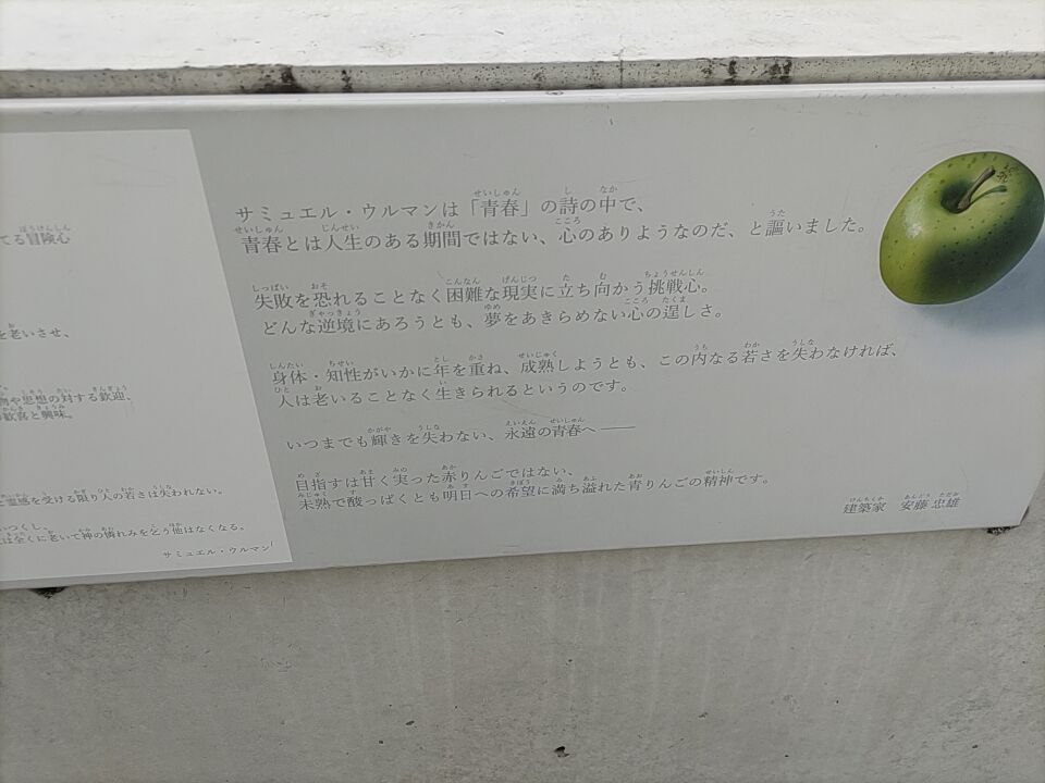 こども本の森の青春の詩の安藤忠雄のコメント