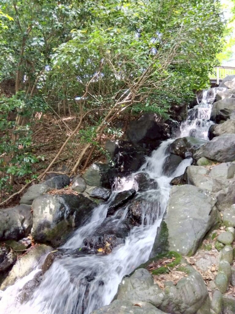 金沢の辰巳用水分流 