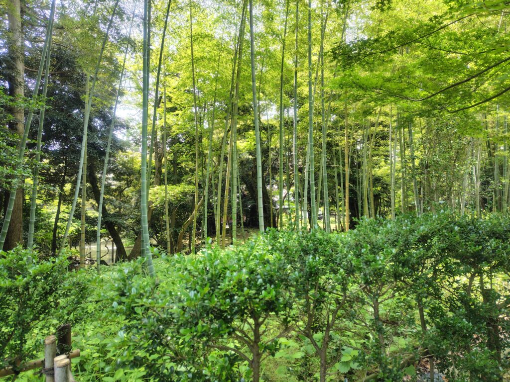 鈴木大拙館の森