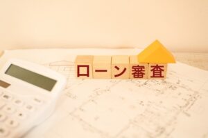 審査のイメージ図