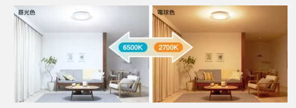 電球色と昼白色の色の違いが分かる画像