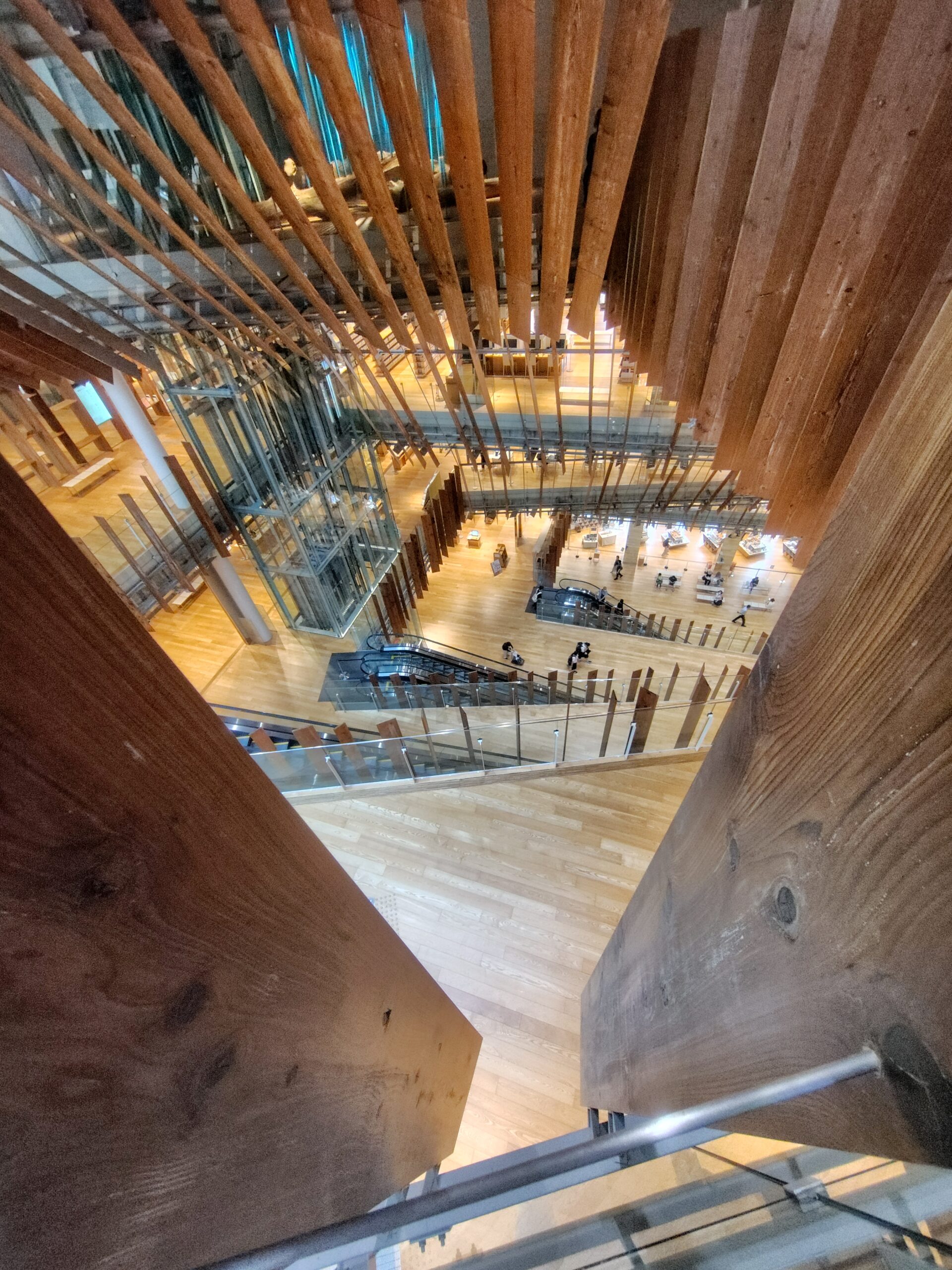 富山市ガラス美術館の６日にあるルーバー木材