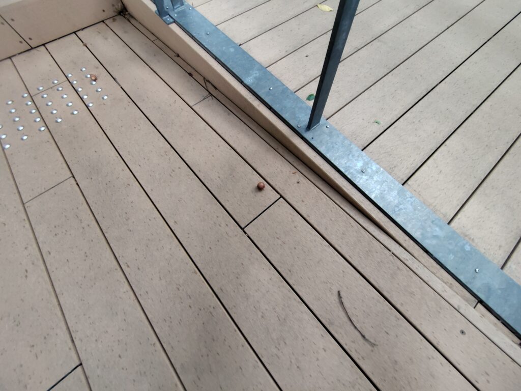 こども本の森札幌北大のアプローチにあったドングリ