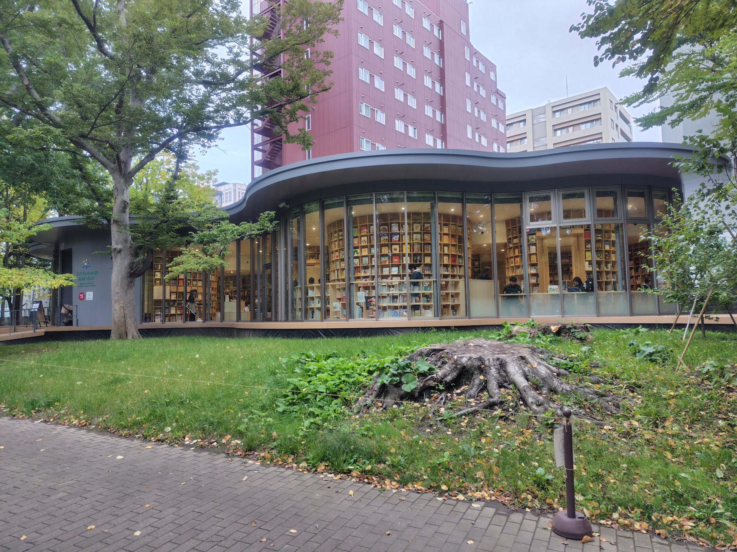 札幌のこども本の森北大の西面からの画像
